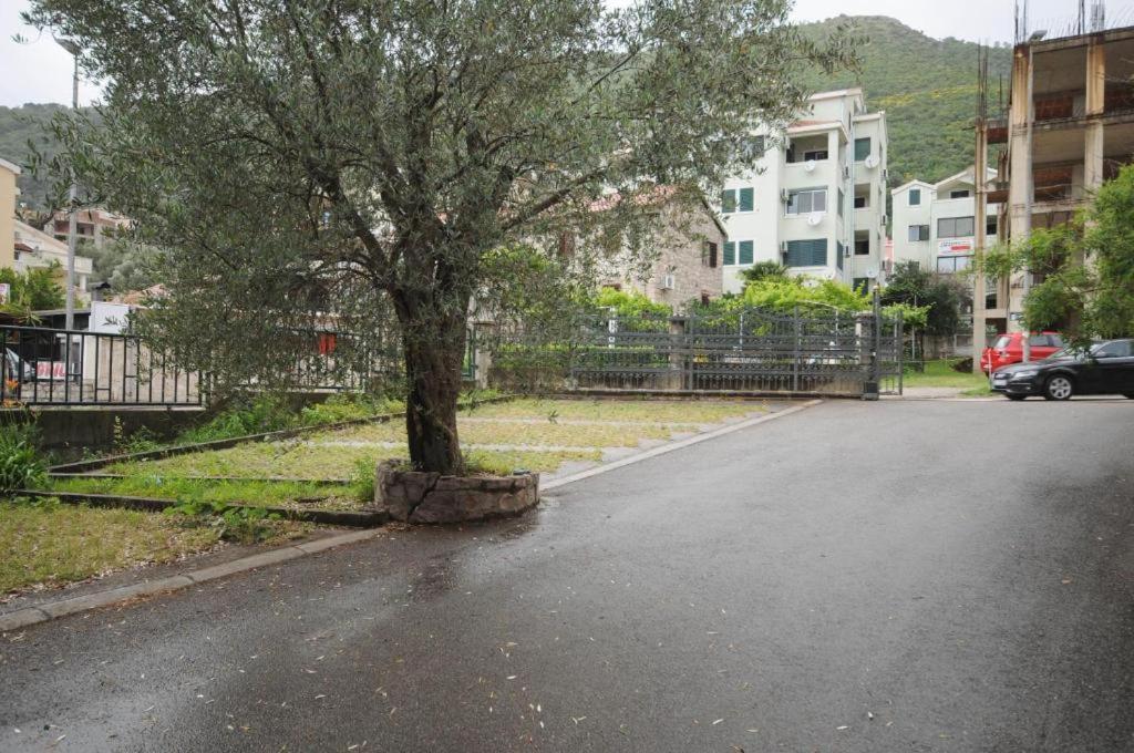 Apartment Jana Petrovac Luaran gambar
