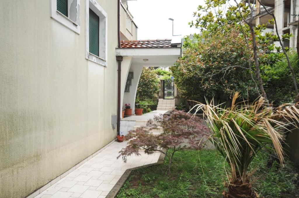 Apartment Jana Petrovac Luaran gambar